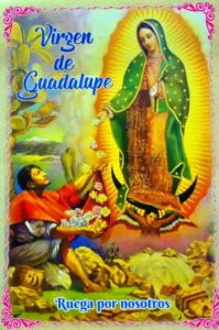 VirgenDeGuadalupe
