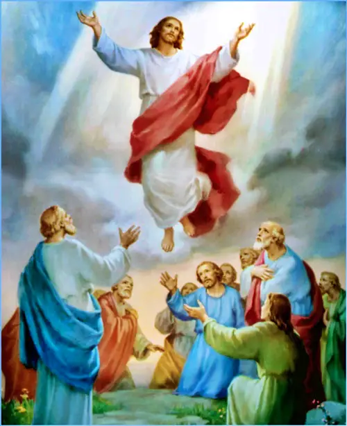 Gloriosos_Segundo