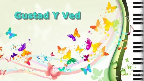 GustadYVed