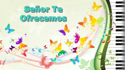 SeñorTeOfrecemos