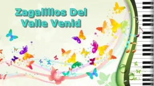 ZagalillosDelValleVenid